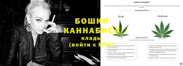 a pvp Верея