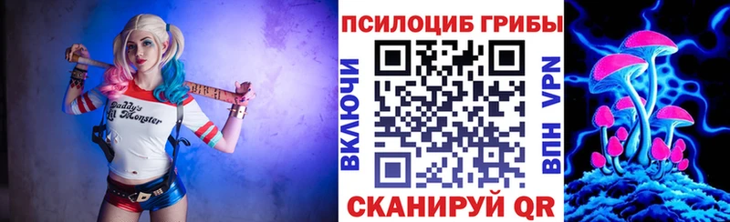 Купить закладки  Томск  Псилоцибиновые грибы GOLDEN TEACHER 